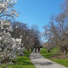Highland Park